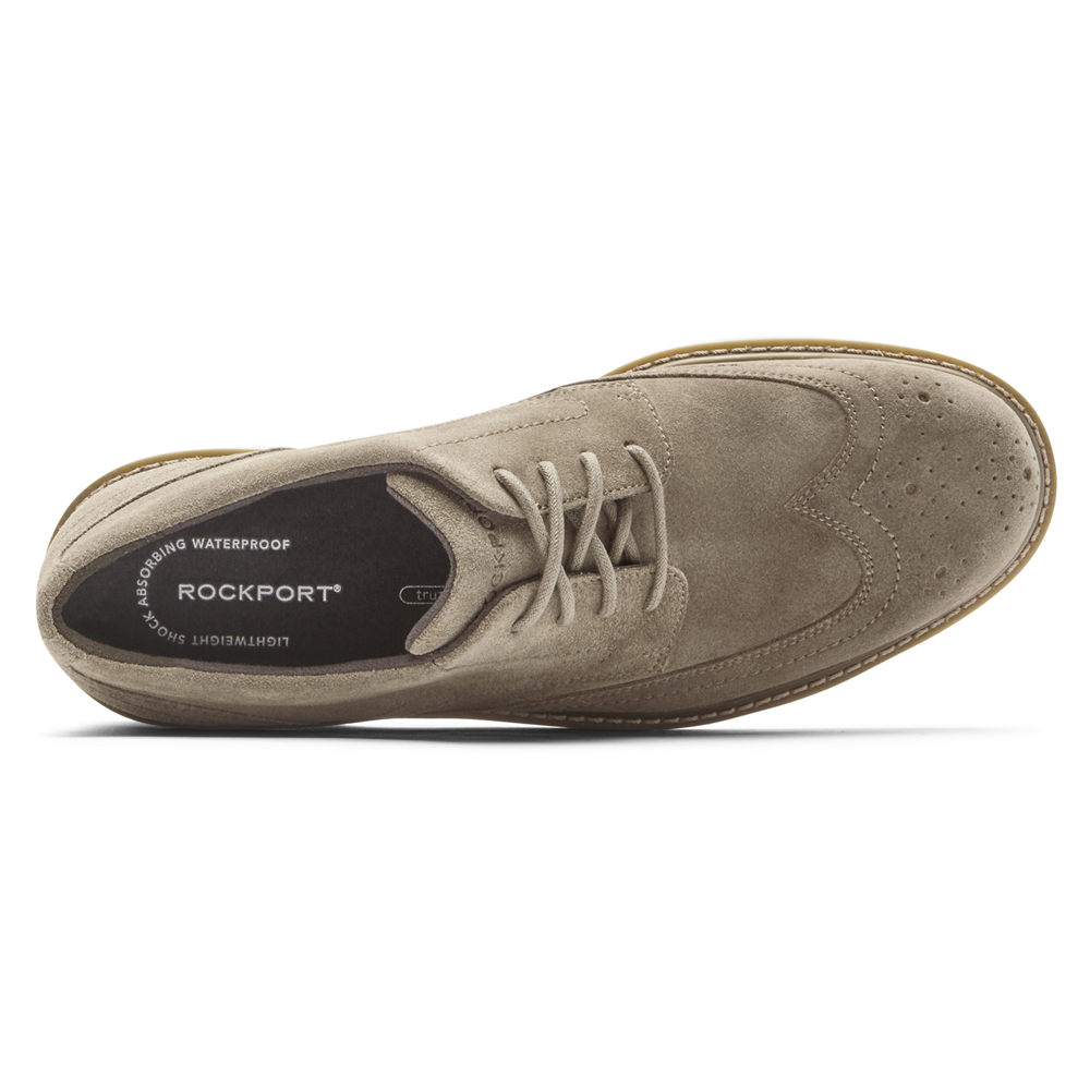 Rockport Joggesko Herre Grå - Charlee Waterproof Wingtip - DWLC31785